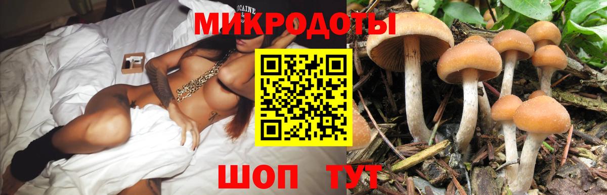 Ивантеевка  Псилоцибиновые грибы Magic Shrooms  Вход с VPN  цена   Псилоцибиновые грибы мухоморы 